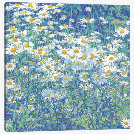 Daisy Flowers Canvas Print #VTK130} by Vitali Komarov Canvas Art