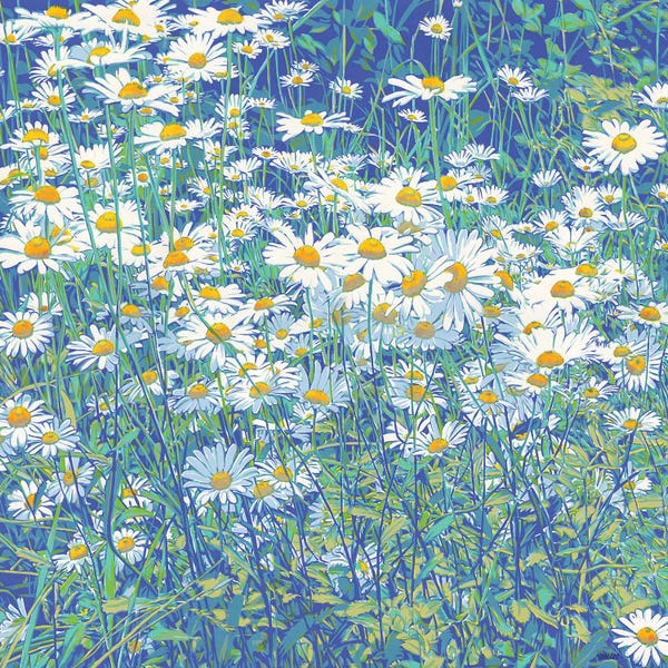 Daisies: Daisy Flowers by Vitali Komarov