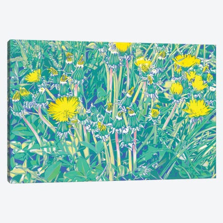 Dandelions In A Meadow Canvas Print #VTK148} by Vitali Komarov Canvas Print