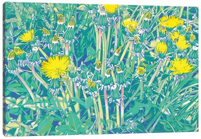 Dandelions In A Meadow Canvas Art Print - Dandelion Art