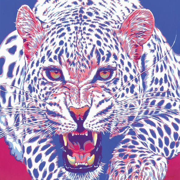 Jaguars: Jaguar by Vitali Komarov