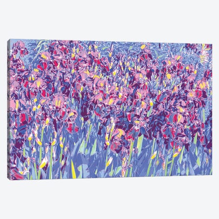 Iris Flowers In A Field Canvas Print #VTK151} by Vitali Komarov Canvas Artwork