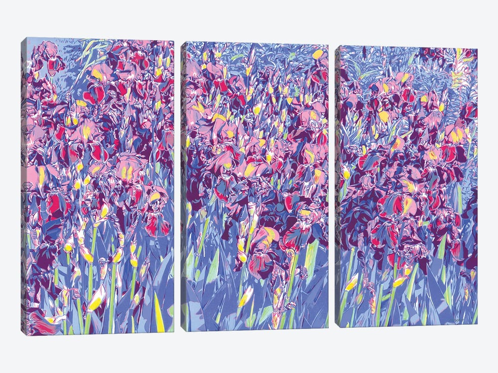 Iris Flowers In A Field by Vitali Komarov 3-piece Canvas Art