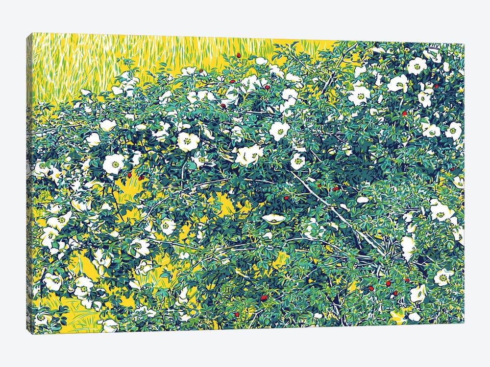 Wild Rose In A Field by Vitali Komarov 1-piece Canvas Art Print