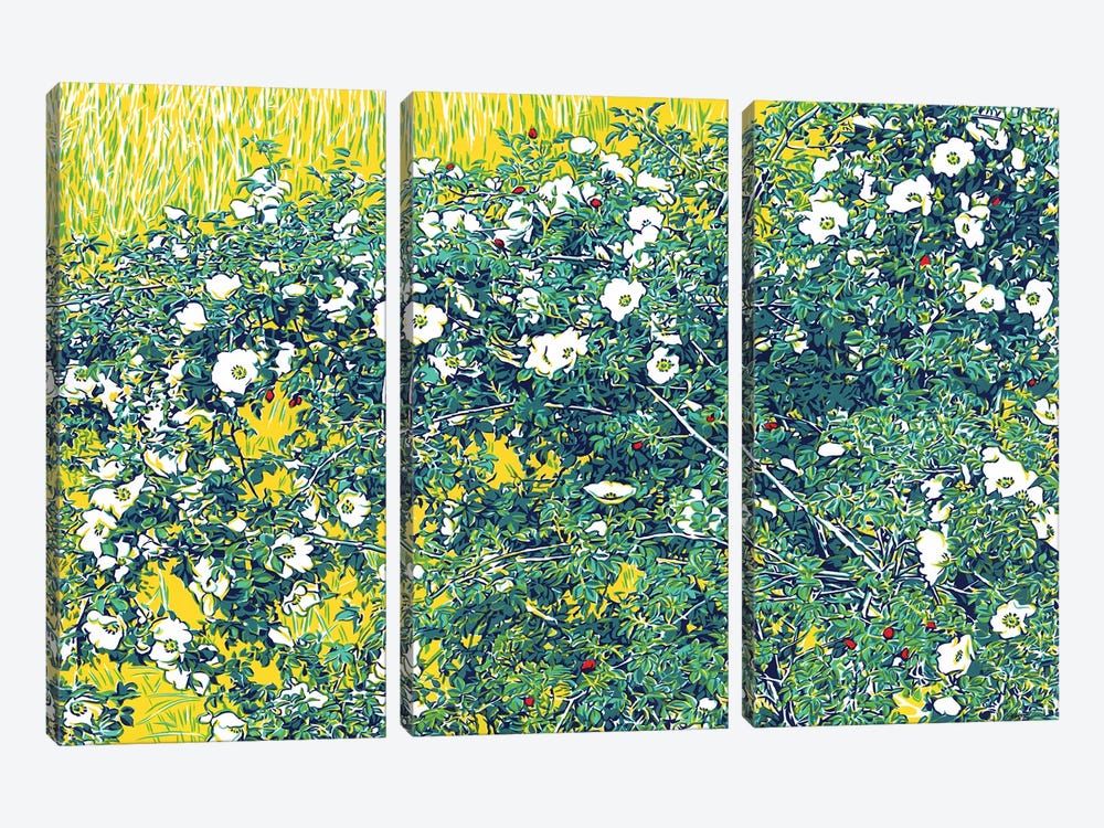 Wild Rose In A Field by Vitali Komarov 3-piece Art Print