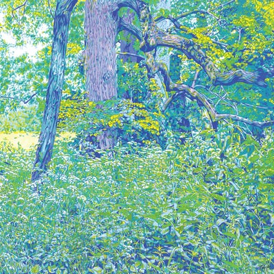 Forest Edge by Vitali Komarov framed wall art