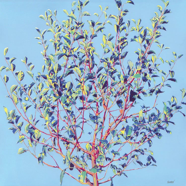 Spring Tree by Vitali Komarov wall art