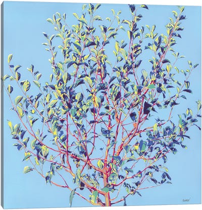 Spring Tree Canvas Art Print - Vitali Komarov
