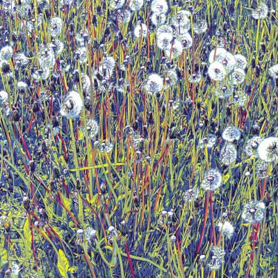 Dandelions by Vitali Komarov art print