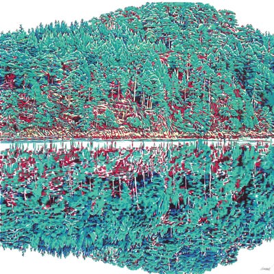 Reflection Of The Mountain And The Forest In The Water by Vitali Komarov framed wall art