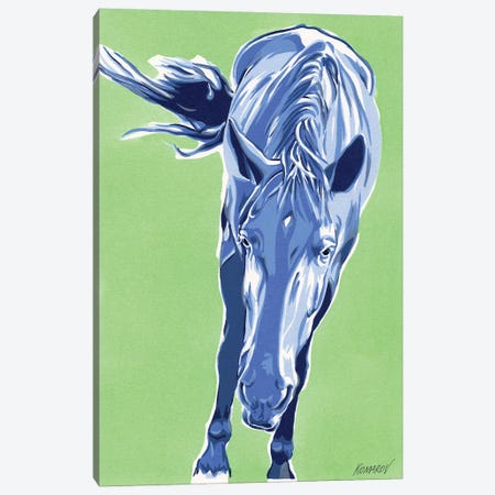 Funny Horse Canvas Print #VTK16} by Vitali Komarov Canvas Wall Art