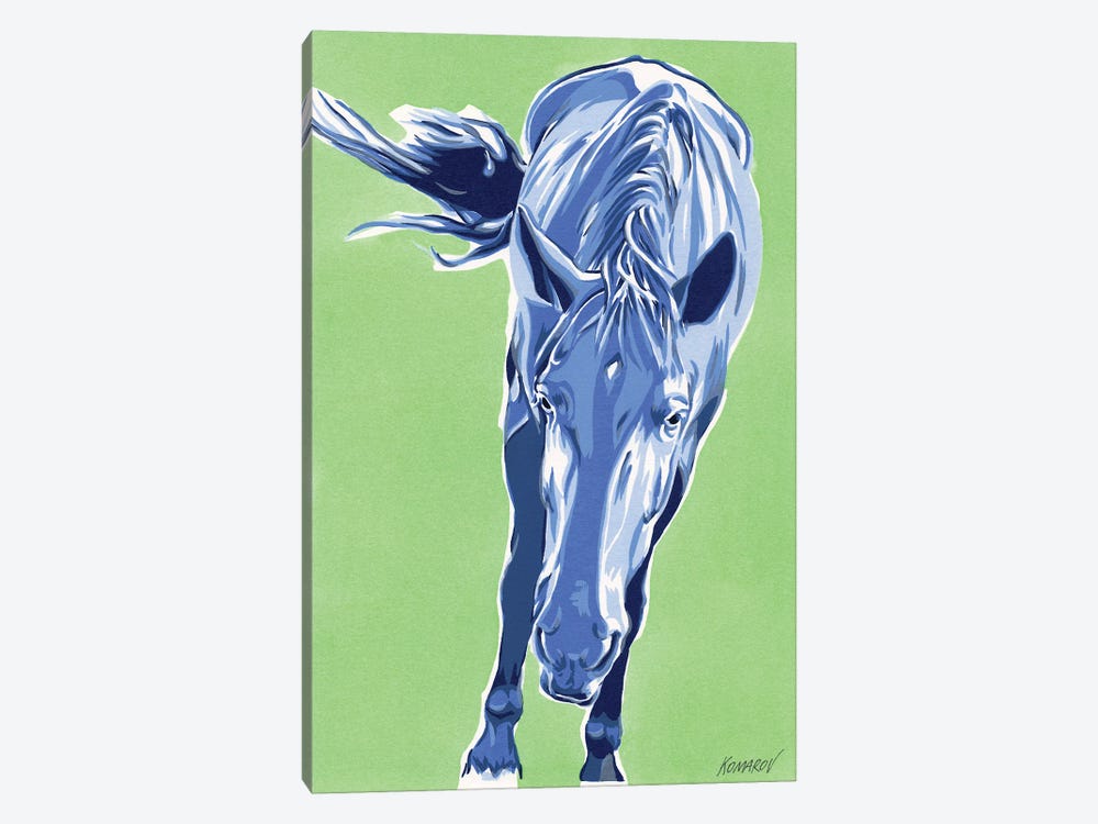 Funny Horse by Vitali Komarov 1-piece Canvas Art Print