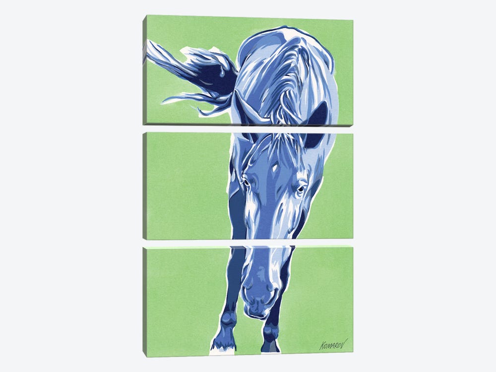 Funny Horse by Vitali Komarov 3-piece Canvas Art Print
