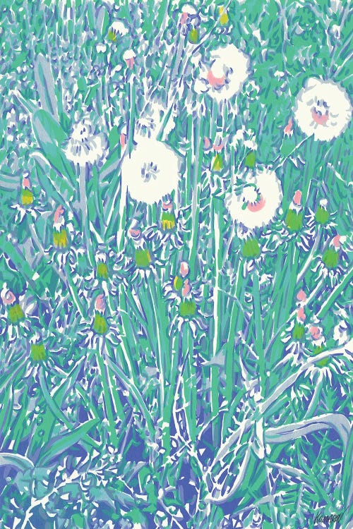 Dandelions In A Field