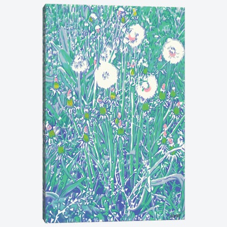 Dandelions In A Field Canvas Print #VTK173} by Vitali Komarov Canvas Art
