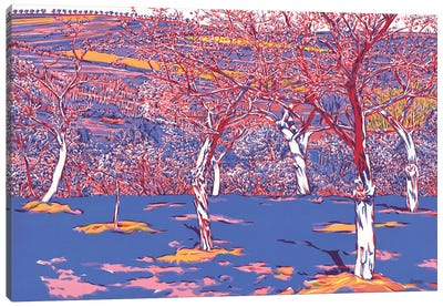 Orchard Canvas Art Print - Apple Tree Art