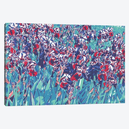Sunlit Iris Flowers Canvas Print #VTK176} by Vitali Komarov Canvas Print