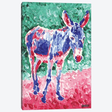 Colorful Donkey Canvas Print #VTK185} by Vitali Komarov Canvas Art
