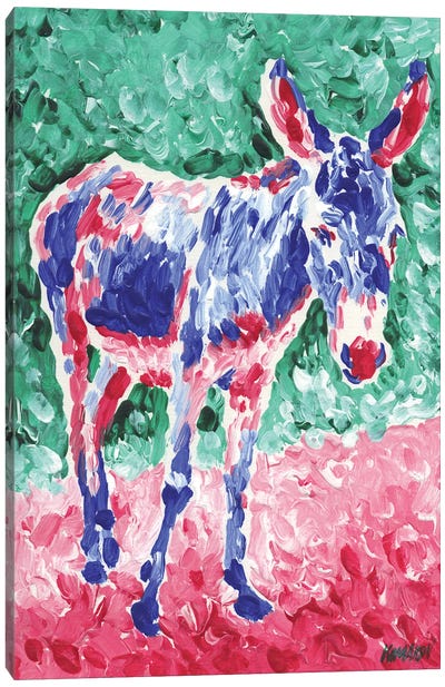 Colorful Donkey Canvas Art Print - Donkey Art