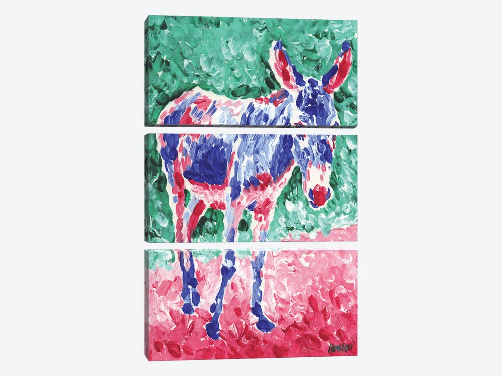 Colorful Donkey by Vitali Komarov 3-piece Canvas Print