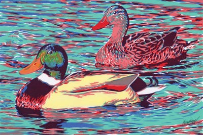 Mallard Duck Couple by Vitali Komarov canvas print