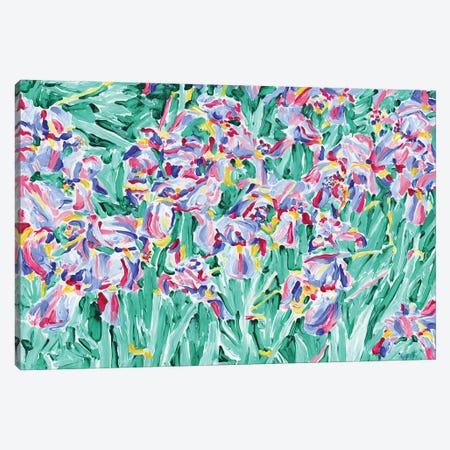 Iris Wildflowers Canvas Print #VTK200} by Vitali Komarov Canvas Wall Art