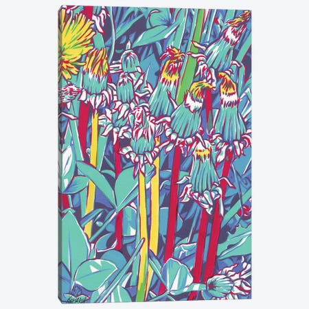 Colorful Dandelion Flowers Canvas Print #VTK204} by Vitali Komarov Art Print