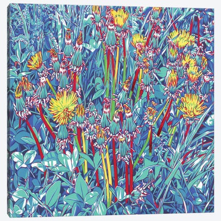 Colorful Dandelion Meadow Canvas Print #VTK206} by Vitali Komarov Canvas Print