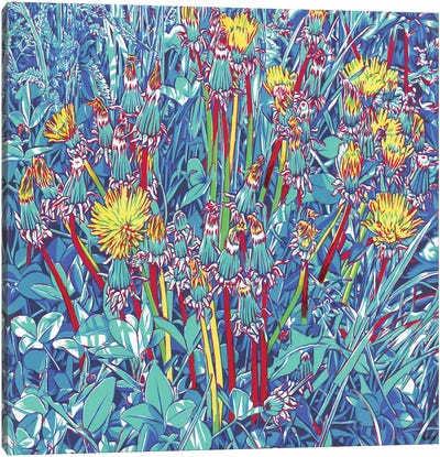 Colorful Dandelion Meadow Canvas Art Print - Dandelion Art