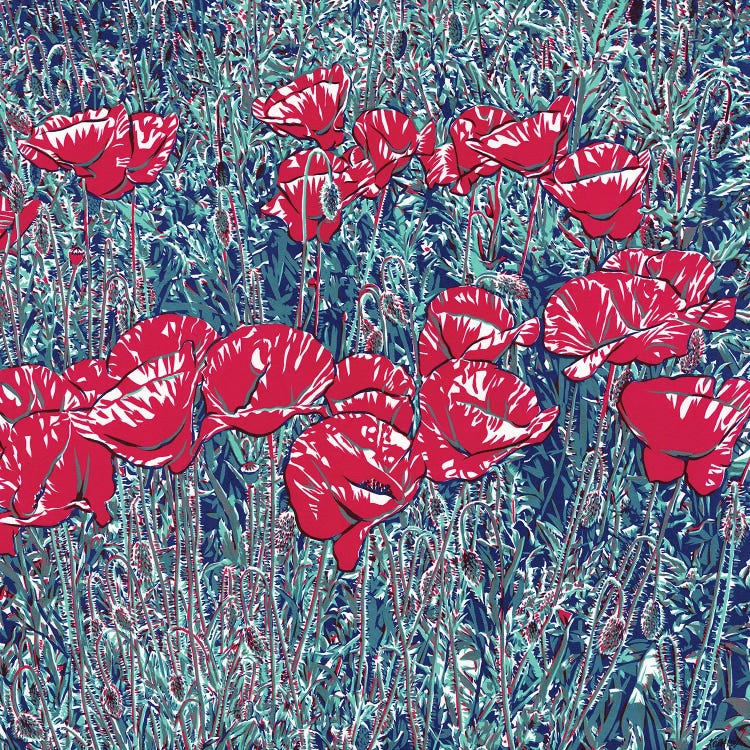 Red Poppy Field