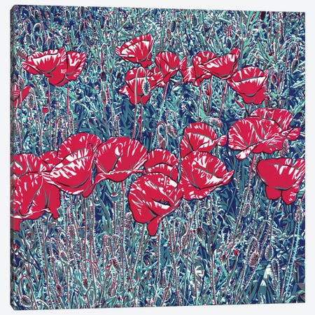 Red Poppy Field Canvas Print #VTK207} by Vitali Komarov Art Print