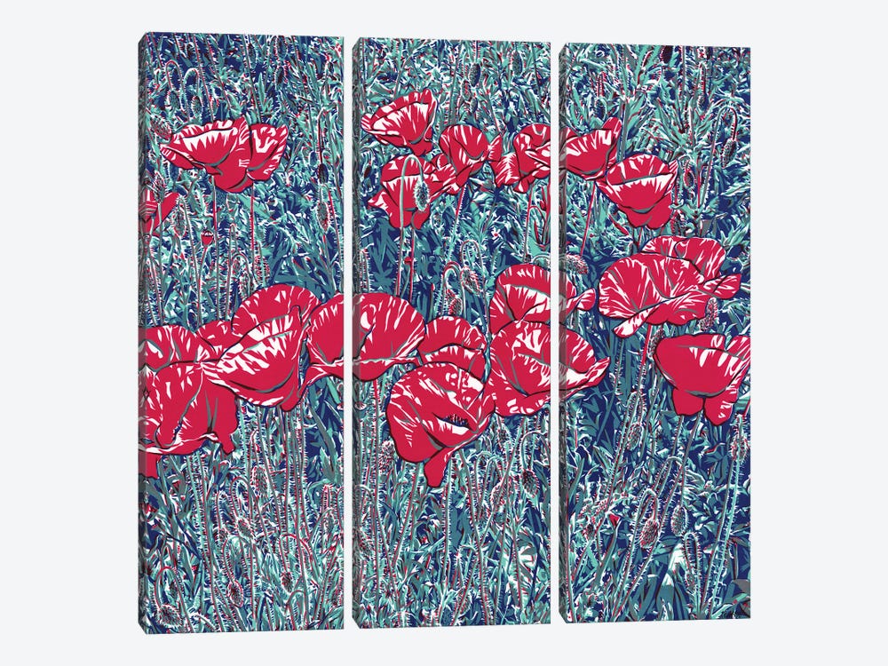 Red Poppy Field by Vitali Komarov 3-piece Art Print