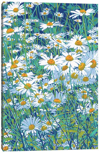 Daisy Field Canvas Art Print - Daisy Art