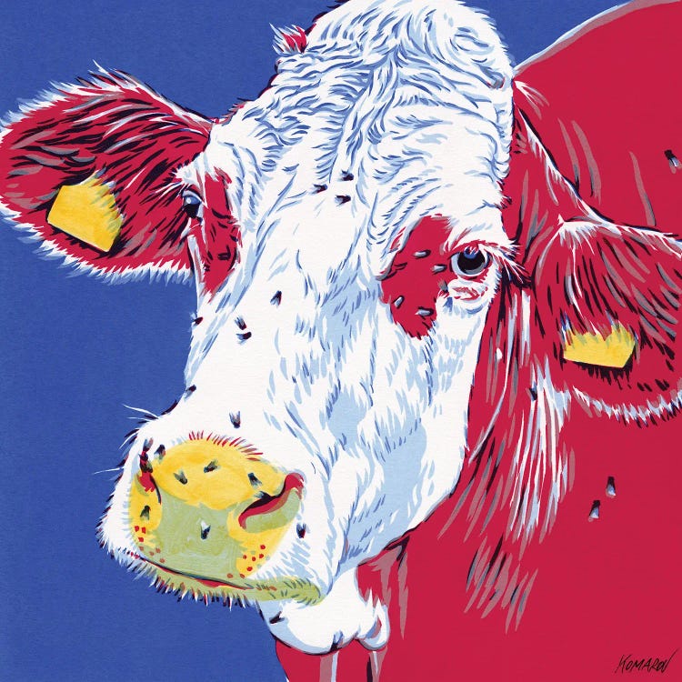 Cow Head