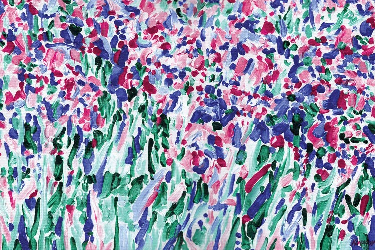 Iris Flowers Field