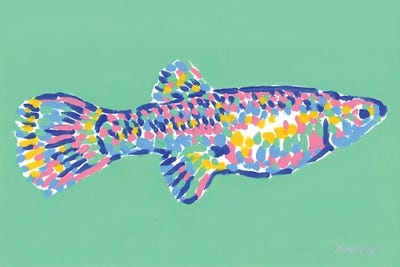 Colorful Fish by Vitali Komarov canvas print