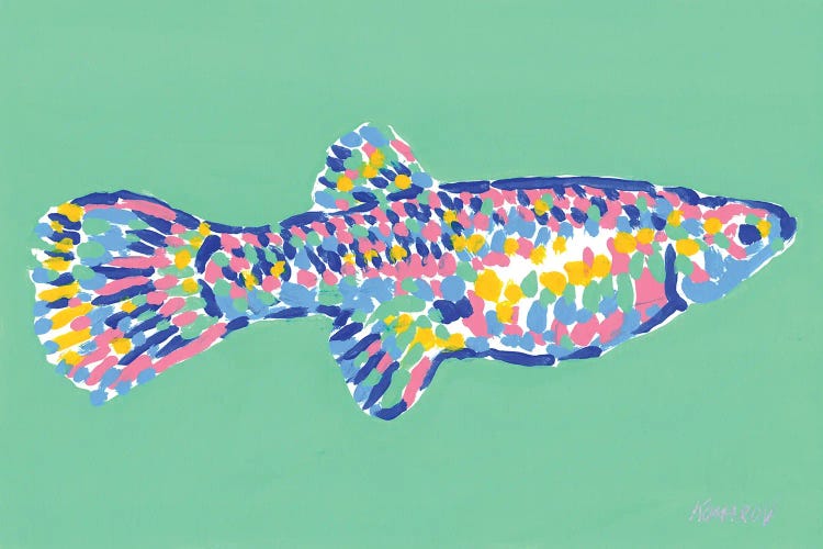 Colorful Fish