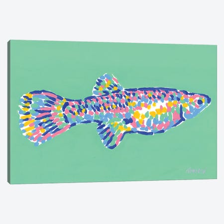 Colorful Fish Canvas Print #VTK227} by Vitali Komarov Art Print