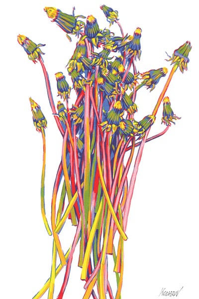 Dandelion Bouquet by Vitali Komarov art print