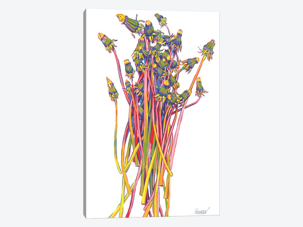 Dandelion Bouquet by Vitali Komarov 1-piece Canvas Art Print