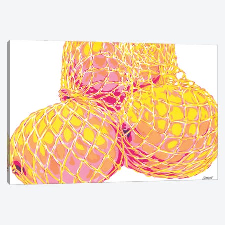 Bag Of Lemons Canvas Print #VTK232} by Vitali Komarov Art Print
