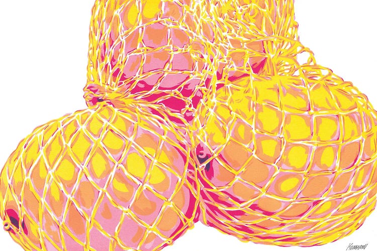 Bag Of Lemons