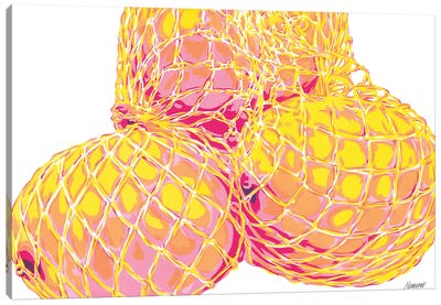 Bag Of Lemons Canvas Art Print - Vitali Komarov