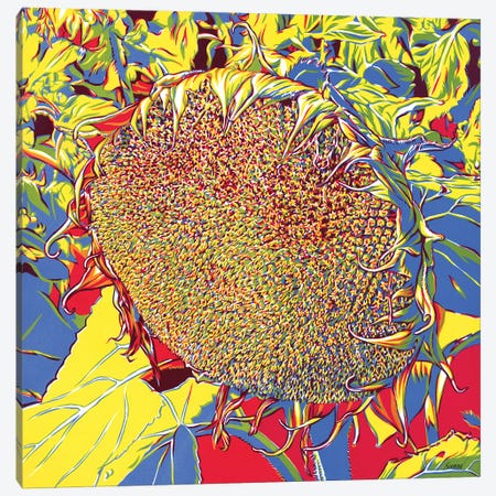 Sunflower Canvas Print #VTK239} by Vitali Komarov Canvas Print