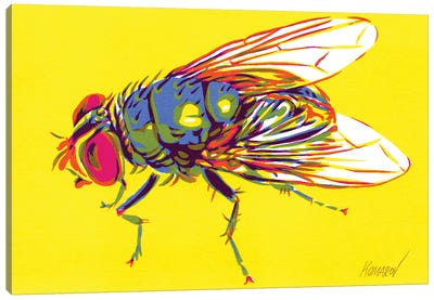 Blue Bottle Fly Canvas Art Print