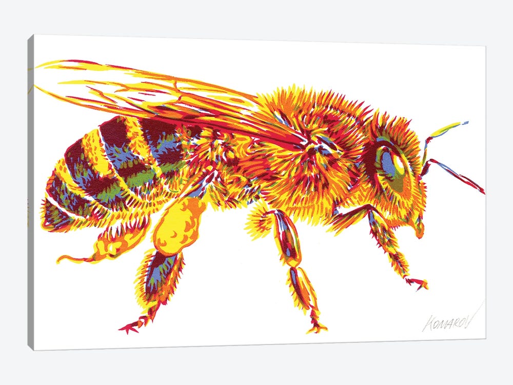 Honey bee by Vitali Komarov 1-piece Canvas Wall Art