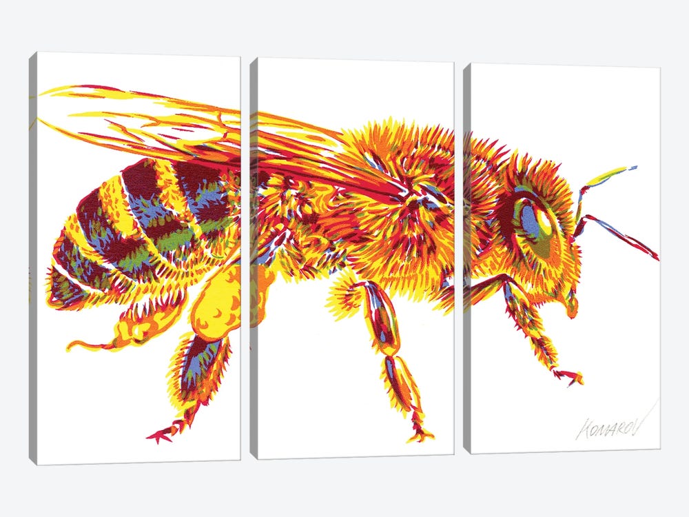 Honey bee by Vitali Komarov 3-piece Canvas Artwork