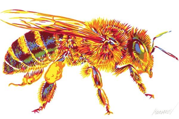 Bees: Honey bee by Vitali Komarov