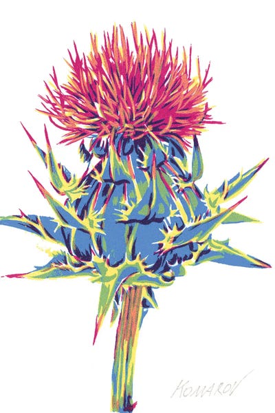 Burdock Flower by Vitali Komarov canvas print