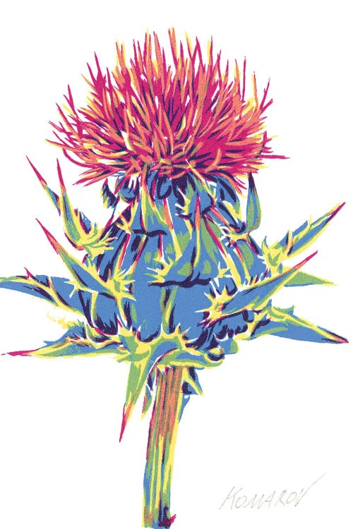 Burdock Flower
